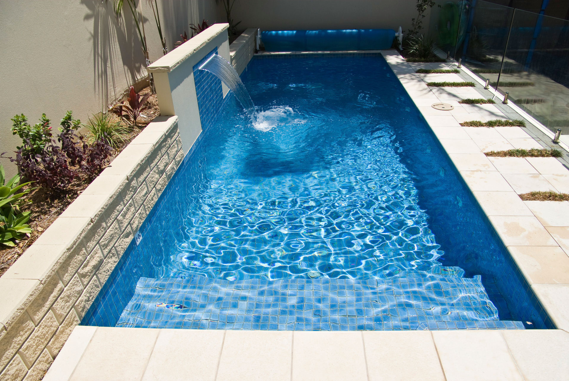Plunge Pool Dover Heights